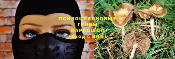 тгк Богородск