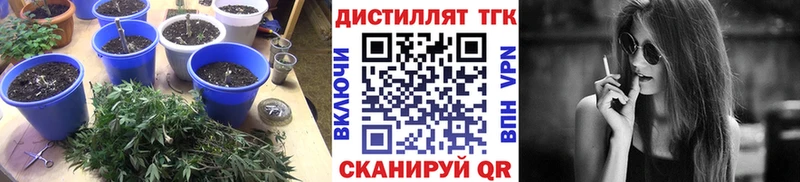 дарк нет телеграм  Бугульма  Дистиллят ТГК Wax 